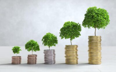 How to Access Business Growth Capital in 48 Hours Without Credit Checks